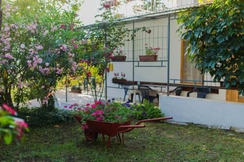 Apartment Maestral Near The Beach