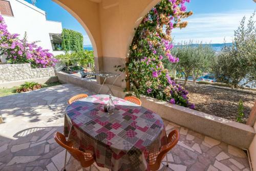 Apartments Zizic