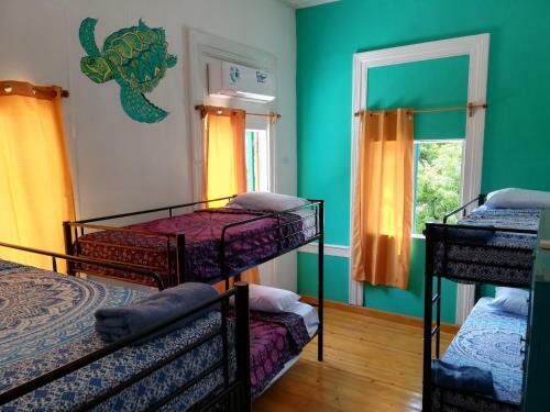 Park Hostel
