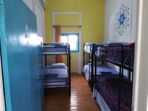 Park Hostel