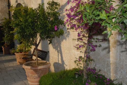 Bed & Breakfast Castello Conti Filo