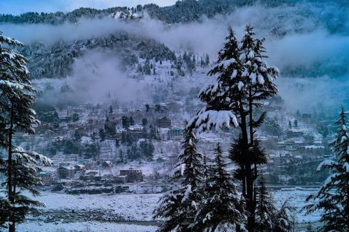 Albergue Alt Life - Manali
