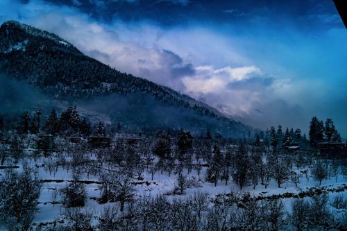 Albergue Alt Life - Manali