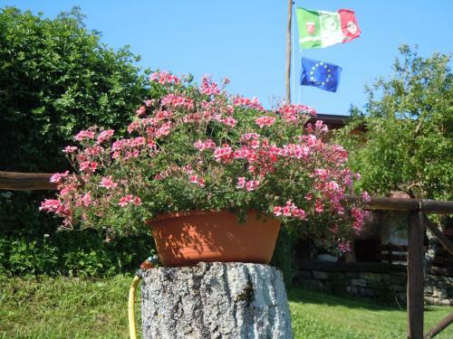 B&B Il Bosco Delle Fate