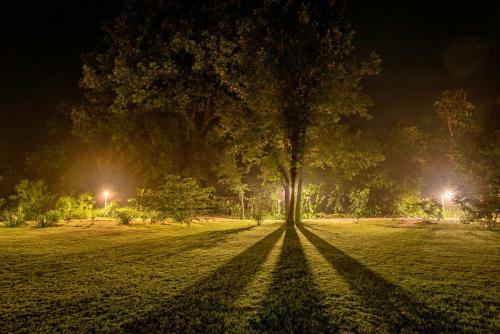 Hotel Beyond Stay Mahua Vann Pench
