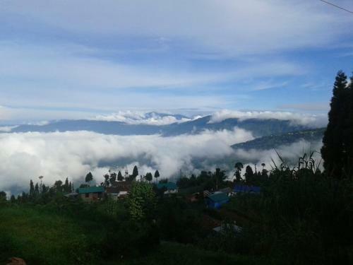 Hotel Vamoose Kunga Delek
