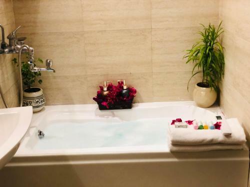 Apartamento Cleopatra (Complimentary Breakfast Included)