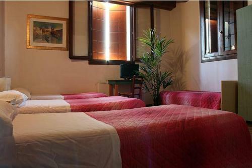 Hotel Ristorante Alloggio Ostello Amolara