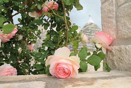 Martina Franca Villa Sleeps 3 Pool Wifi