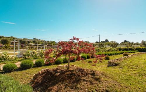Bed & Breakfast Tenuta Ermes