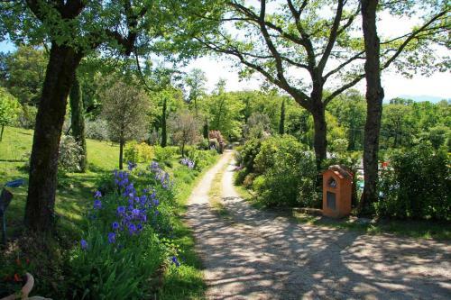 Villa Amore Rentals - Casale Della Toscana