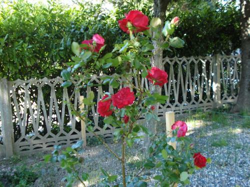 Casa Tea Bed And Breakfast & Esmeralda Home Restaurant