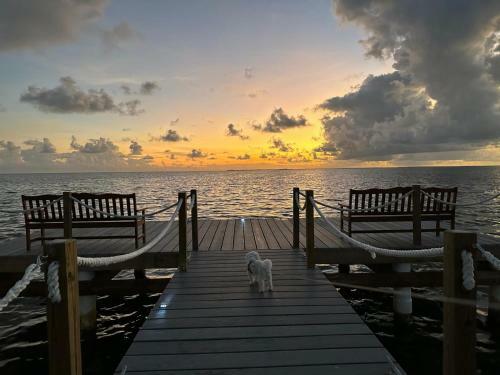 Hotel Grand Caymanian Resort