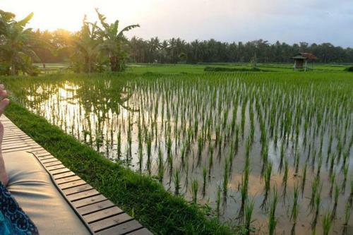 Bali Harmony Villa