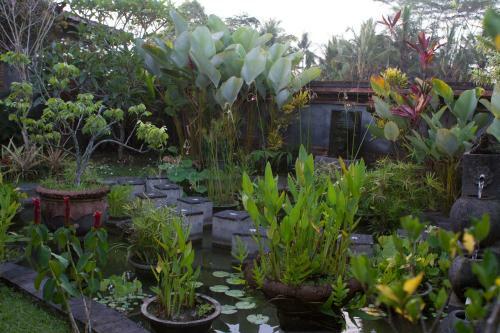 Hostal Rumah Sungai Villa