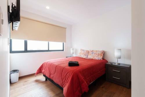 Apartamento Incredible Flat At San Rafael