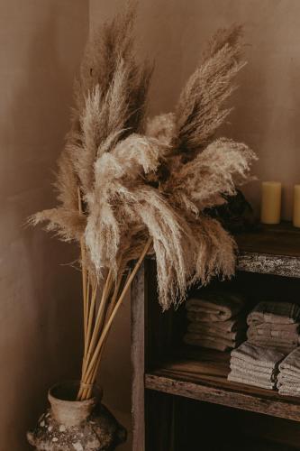 Era Hotel & Spa Tulum
