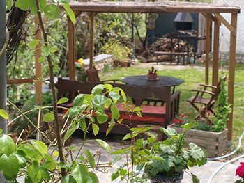 Apartamentos El Huerto De Lobras