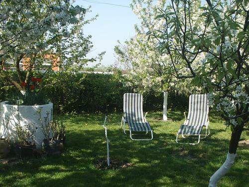 Apartamento �rnyas Vend�gh�z