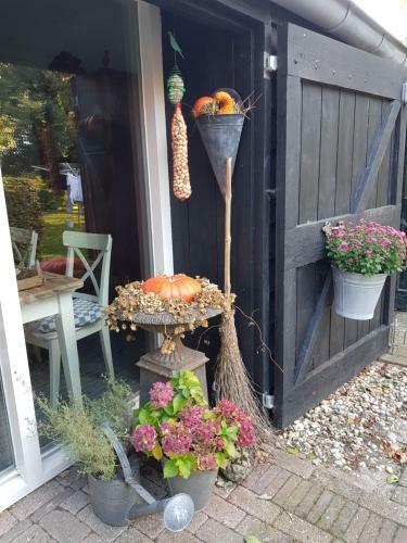 Bed & Breakfast Bij Saar
