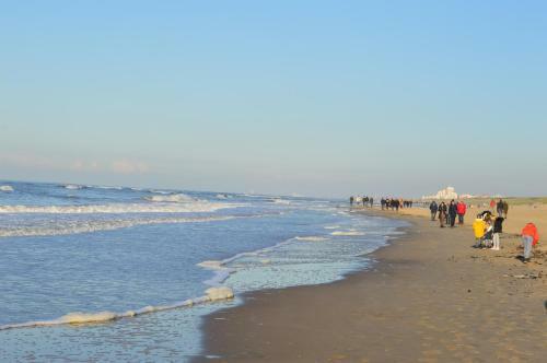 Apartamento Kw96 Katwijk Aan Zee