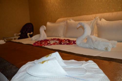 Hotel Crowner David