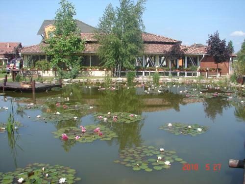 Hotel Bagolyv�r Guesthouse, Restaurant, Wellness