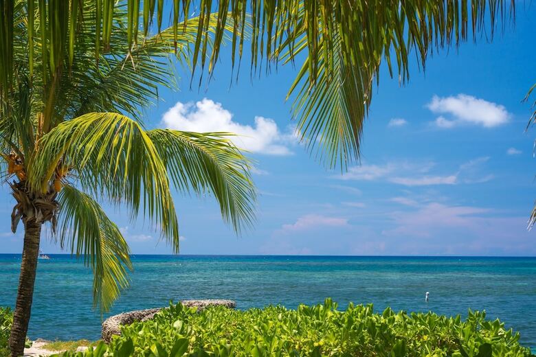 Hotel Las Rocas Resort And Dive Center