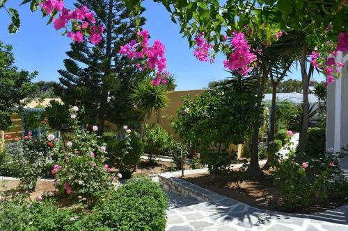 Hotel Surfing Beach Village Paros