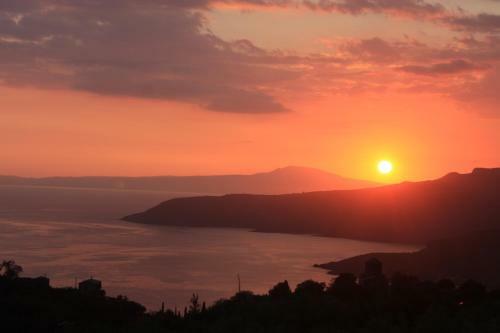 The Olive Grove Boutique Villas