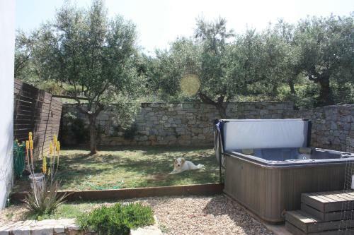 The Olive Grove Boutique Villas