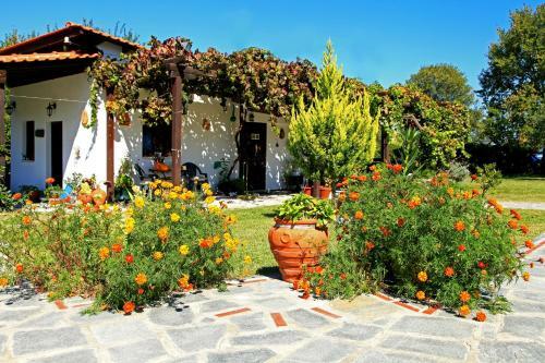 Dionysus Apartments