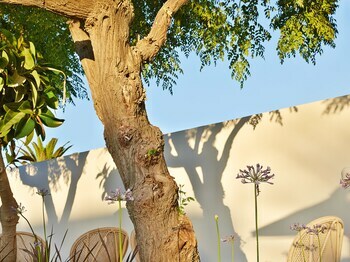 Hotel Caramel Grecotel Boutique Resort