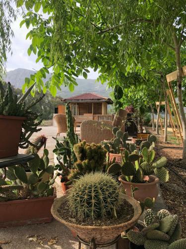 Hotel Yucca House G�kova