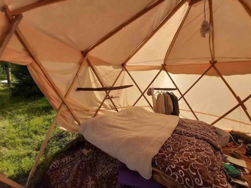 Eco Glamping - Carpathians. Retreat Hub Dzin Space
