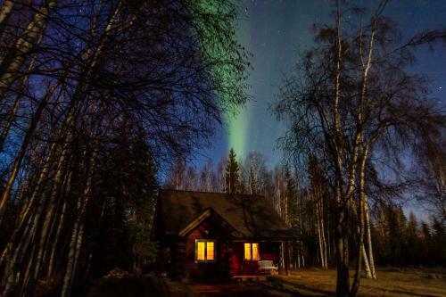 North Pole Log Cabin With Northern Lights Views!