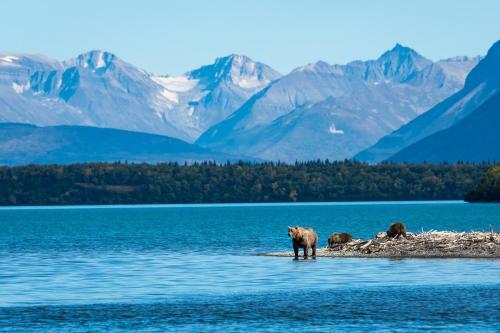Chum Salmon - Kenai Kuik Cabins - Riverside Deck Cabin