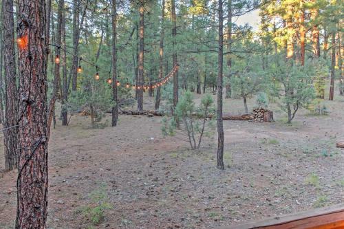 Rustic Lakeside Cabin On 3 Acres With Nature Views!