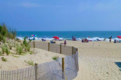 Salt Meadows - 40142 Salt Meadows