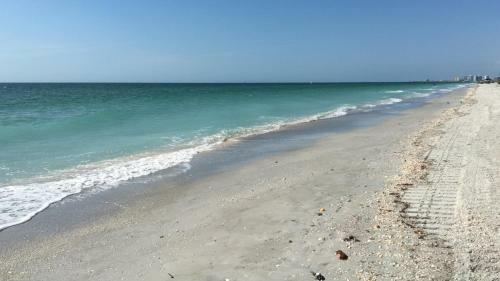 Belleair Beach Club By Teeming Vacation Rentals