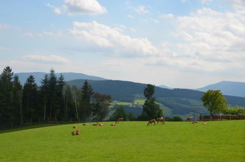 Posada Wildwiesenhof