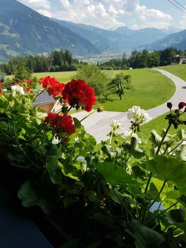 Hostal Pension Platzer