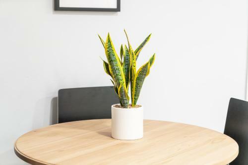Apartamento Bright And Cozy 2br Condo In Logan Square!