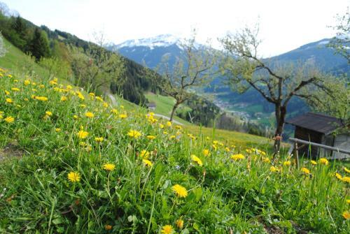 Apartamento Ferienwohnung Siedler