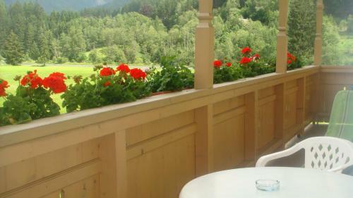Agroturismo Bio-bauernhof Obertrattenbachhof