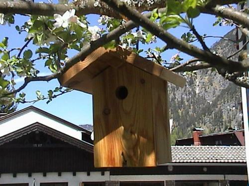 Apartamento Haus Waldfriede