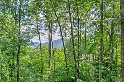 Private Sapphire Valley Resort Cabin With Mtn Views!
