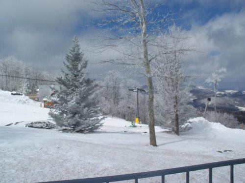 Sugar Ski & Country Club Unit 614