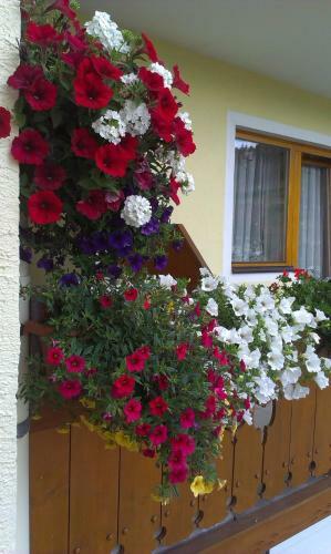 Apartamento Ferienhaus Ramsbacher
