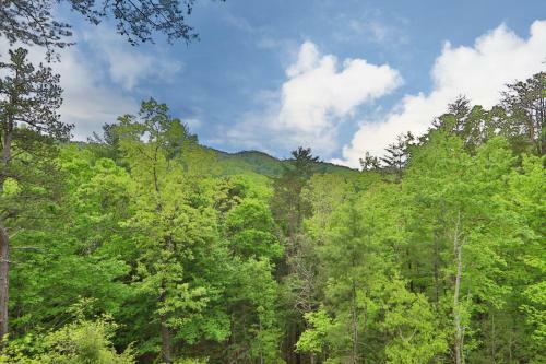 Honey J's Mountain Retreat